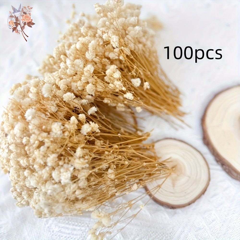100pcs Mini Dried Baby's Breat - Resin Art Products review and price
